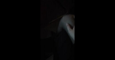 大黄鸭回归！ 新作：旧时王谢堂前燕 黑丝 肉丝 灰丝 一部囊括
